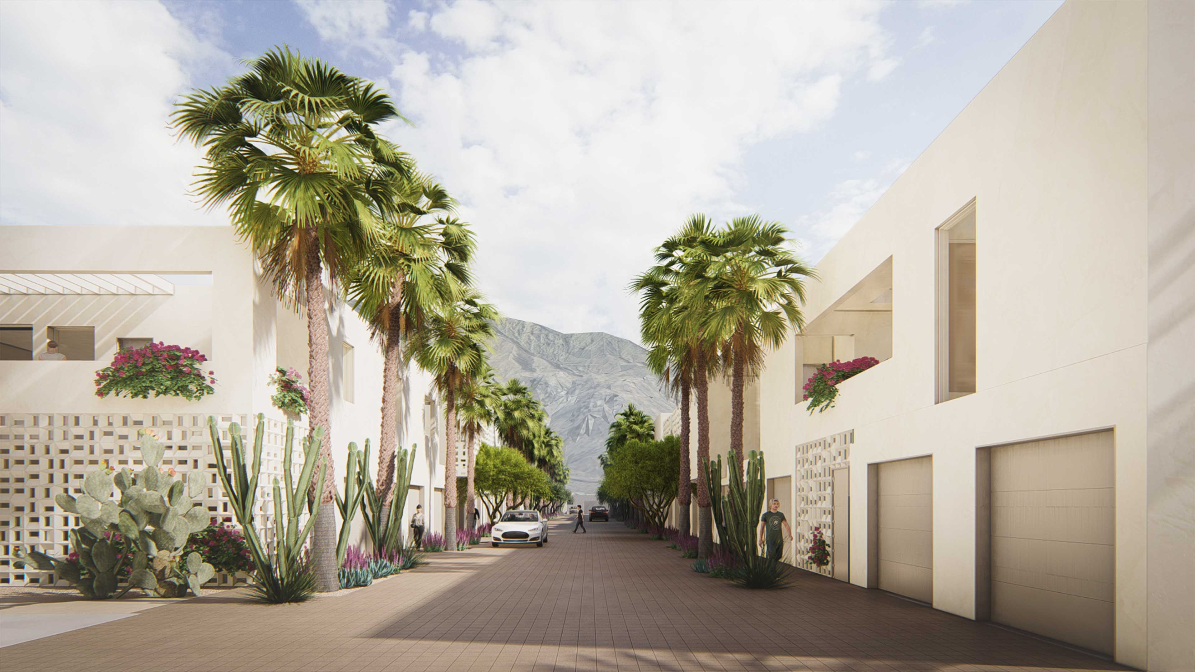 Alleyway lined with palm trees with a view of the mountains peeking in the center